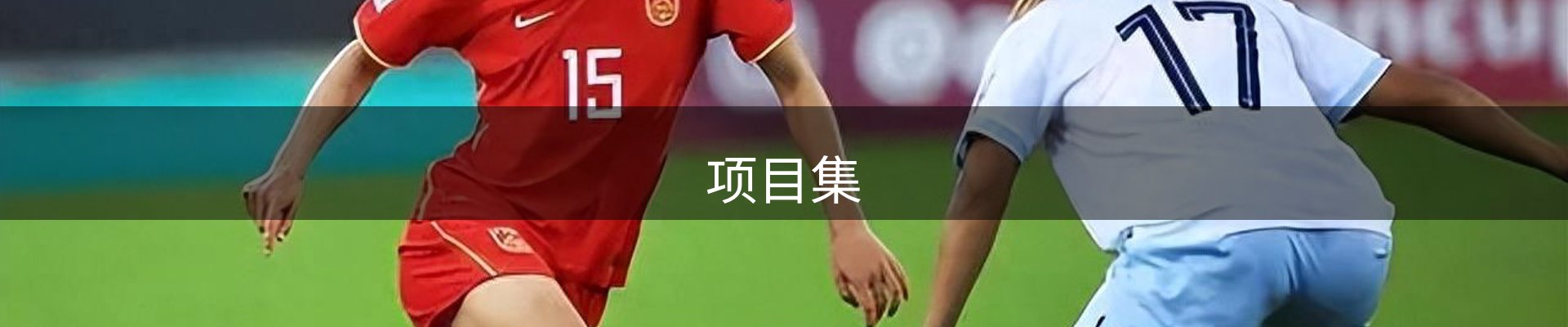 项目集